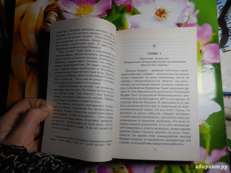 Иллюстрация 4 из 5 для Убийца сухогрузов - Максим Шахов | Лабиринт - книги. Источник: Савина  Евгения