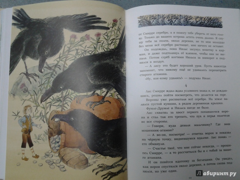 Иллюстрация 22 из 36 для Чудесное путешествие Нильса с дикими гусями - Сельма Лагерлеф | Лабиринт - книги. Источник: Olga