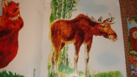 Иллюстрация 7 из 9 для Лесные животные | Лабиринт - книги. Источник: Титлова  Ирина Игоревна