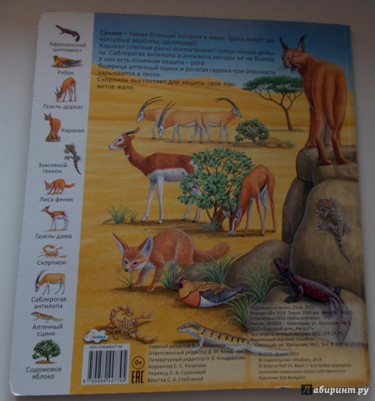 Иллюстрация 19 из 26 для Животные и растения пустыни | Лабиринт - книги. Источник: Sweet mama