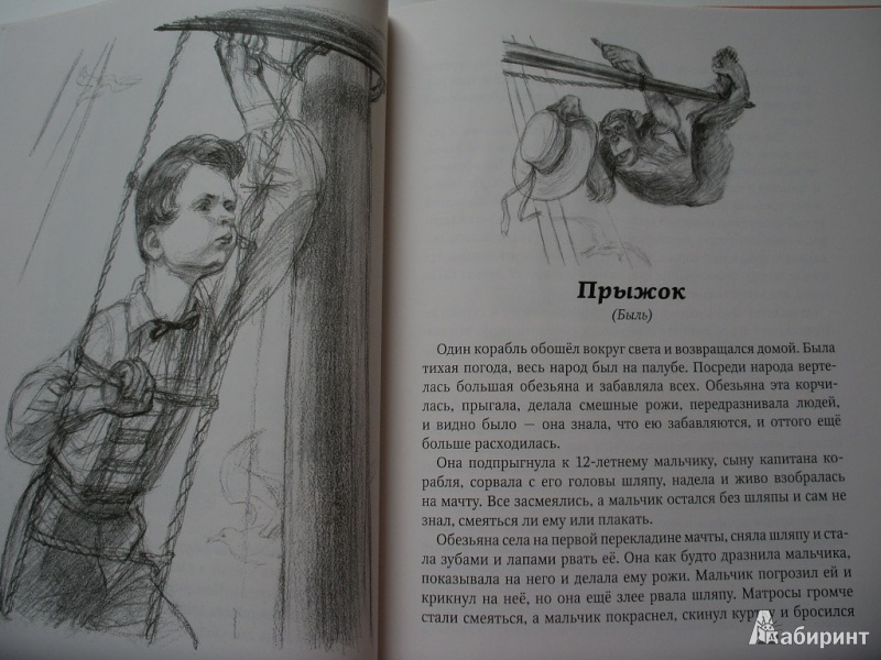Иллюстрация 9 из 24 для Косточка - Лев Толстой | Лабиринт - книги. Источник: Tiger.