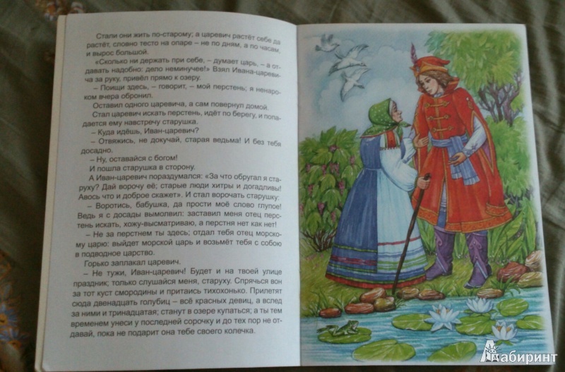 Иллюстрация 6 из 31 для Морской царь и Василиса Премудрая | Лабиринт - книги. Источник: ~~~Anna~~~