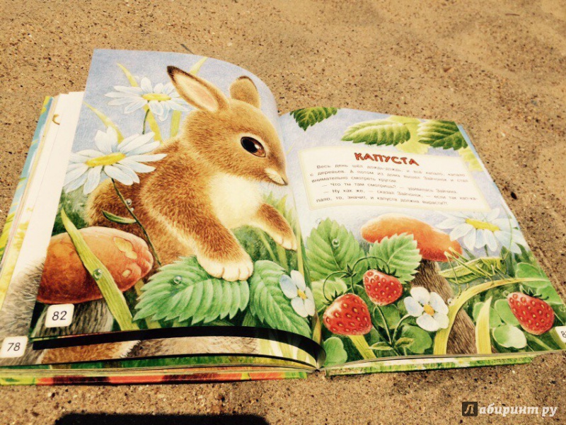 Иллюстрация 44 из 57 для Сказки-малышки - Геннадий Цыферов | Лабиринт - книги. Источник: Анна Грищенко