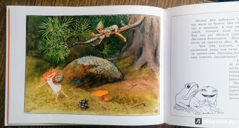Иллюстрация 36 из 59 для Солнечное яйцо - Эльза Бесков | Лабиринт - книги. Источник: Natalie Leigh