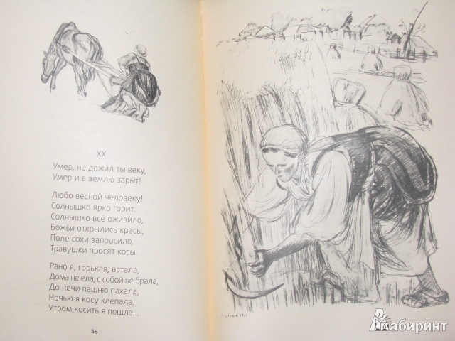 Иллюстрация 47 из 50 для Мороз, Красный нос - Николай Некрасов | Лабиринт - книги. Источник: Nemertona