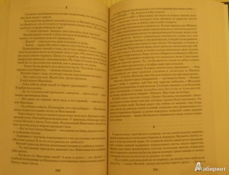 Иллюстрация 18 из 24 для Строговы - Георгий Марков | Лабиринт - книги. Источник: Большой любитель книг