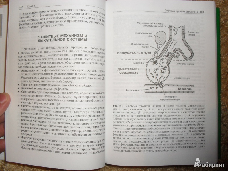 Иллюстрация 11 из 27 для Пропедевтика внутренних болезней. Учебник (+ CD) - Мухин, Моисеев | Лабиринт - книги. Источник: ВраЧиталла
