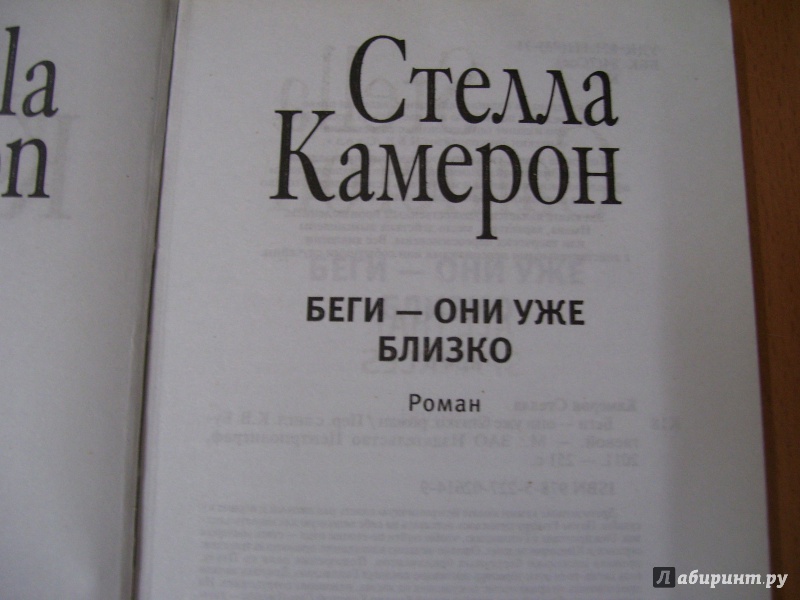 Иллюстрация 3 из 32 для Беги - они уже близко - Стелла Камерон | Лабиринт - книги. Источник: КошкаПолосатая