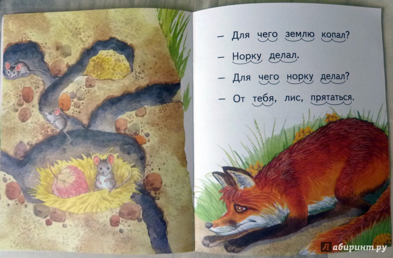 Иллюстрация 8 из 15 для Лис и мышонок - Виталий Бианки | Лабиринт - книги. Источник: WhiteRacoon