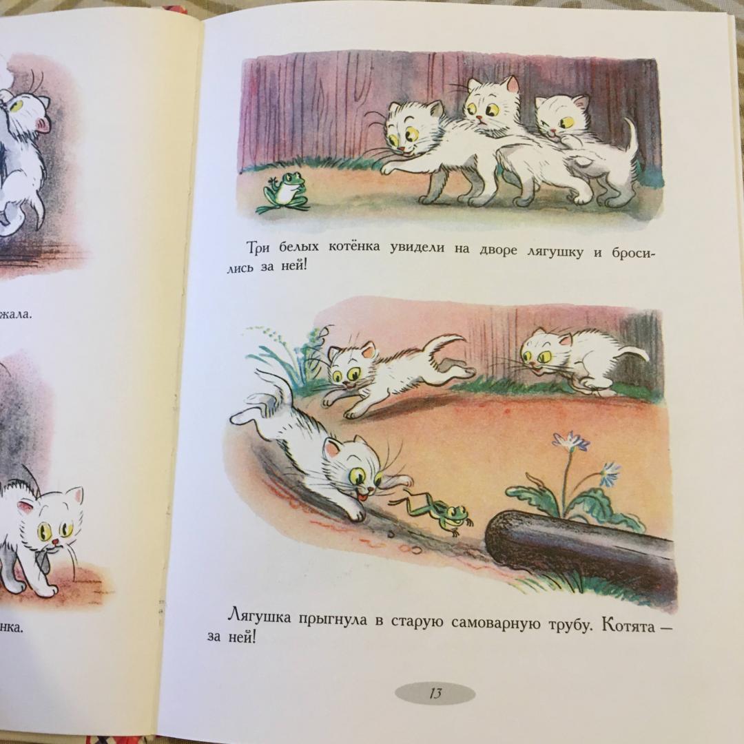 Иллюстрация 30 из 33 для Сказки и картинки - Владимир Сутеев | Лабиринт - книги. Источник: Фролов  Аркадий
