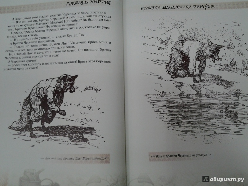Иллюстрация 9 из 23 для Сказки Дядюшки Римуса и другие Американские народные сказки - Джоэль Харрис | Лабиринт - книги. Источник: Olga