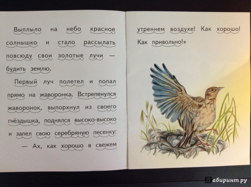 Иллюстрация 3 из 28 для Утренние лучи - Константин Ушинский | Лабиринт - книги. Источник: Lapchi
