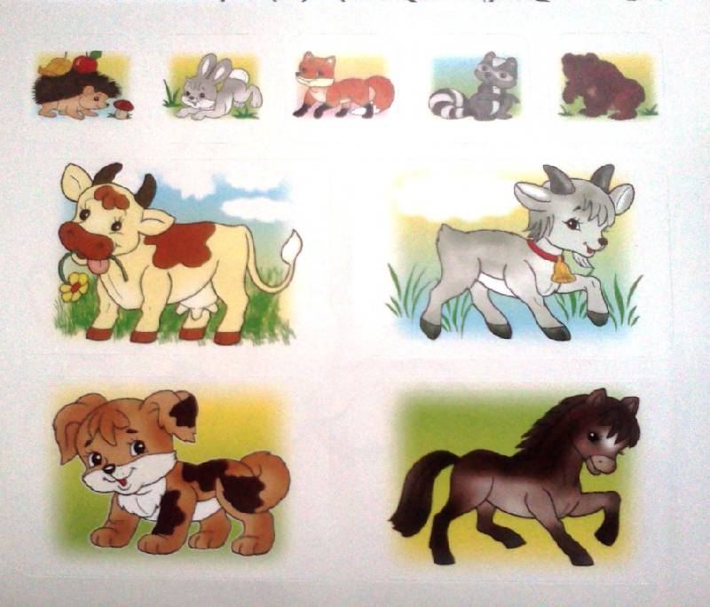 Иллюстрация 24 из 27 для Раскраска с наклейками Домашние животные | Лабиринт - книги. Источник: ОксанаШ
