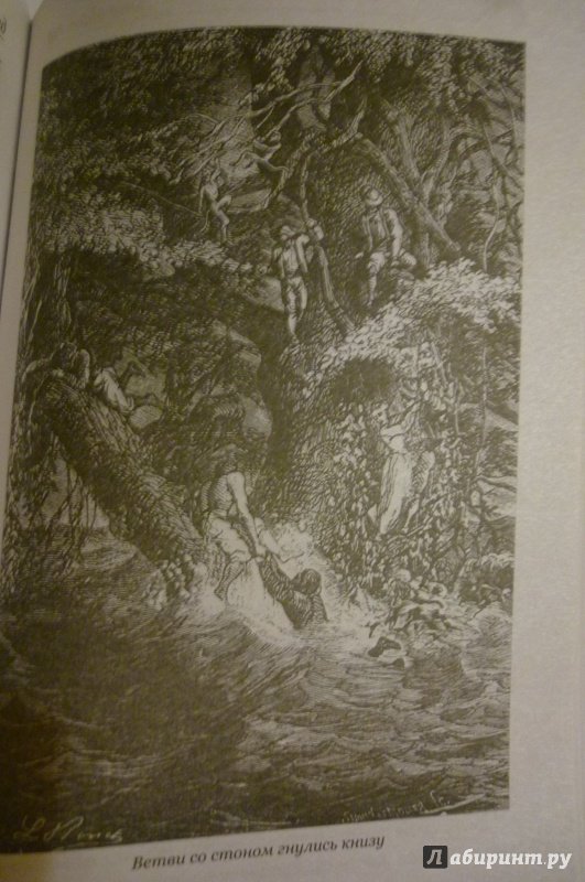 Иллюстрация 28 из 50 для Огненная Земля; Водяная пустыня, или Водою по лесу - Рид Майн | Лабиринт - книги. Источник: Алексеенко  Надежда