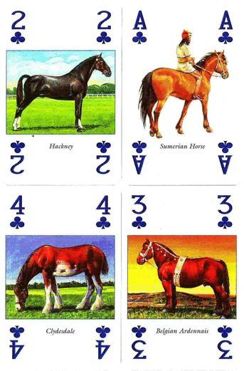 Иллюстрация 6 из 10 для Карты игральные "Лошади" | Лабиринт - игрушки. Источник: Kvaki