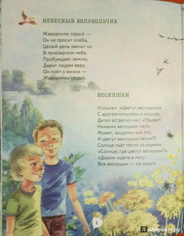 Иллюстрация 5 из 15 для Зеленая карета - Валерий Кастрючин | Лабиринт - книги. Источник: Ракова  Ирина