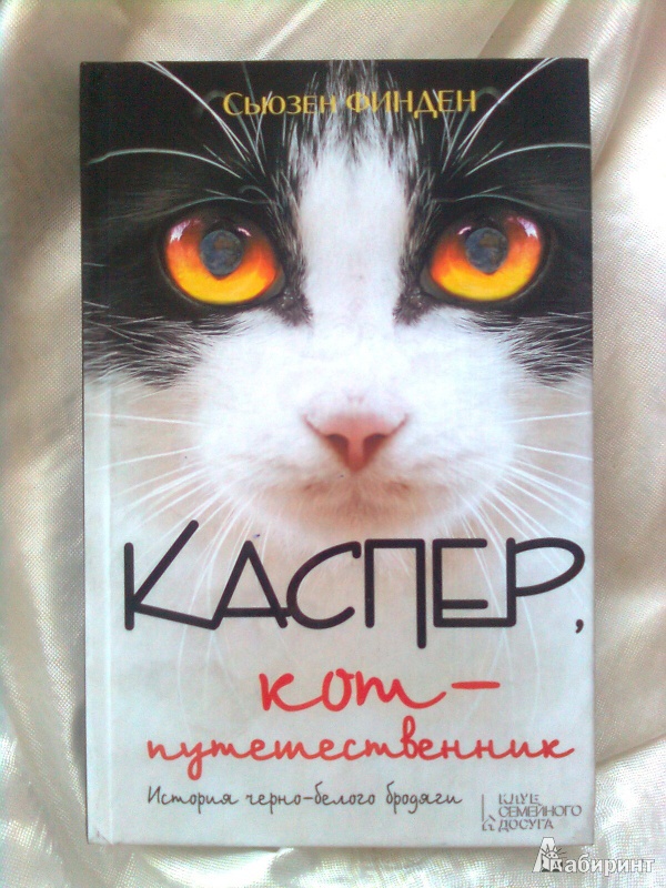 Иллюстрация 2 из 12 для Каспер, кот-путешественник - Сьюзен Финден | Лабиринт - книги. Источник: Новикова  Ирина Васильевна