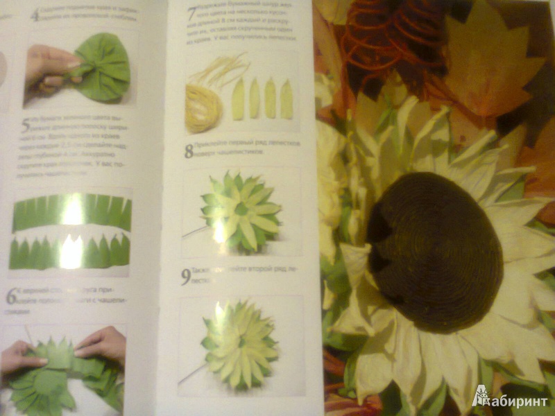 Иллюстрация 7 из 9 для Цветы и букеты из гофрированной бумаги - Агнешка Бойраковска-Пшенесло | Лабиринт - книги. Источник: G