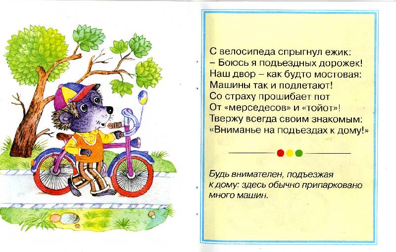 Иллюстрация 2 из 2 для Правила езды на велосипеде - Марина Дружинина | Лабиринт - книги. Источник: РИВА