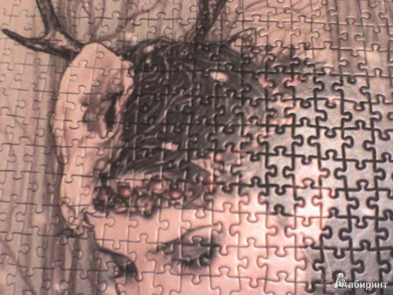 Иллюстрация 5 из 5 для Puzzle-1000 "Изгнание" (29613) | Лабиринт - игрушки. Источник: Роза с шипами