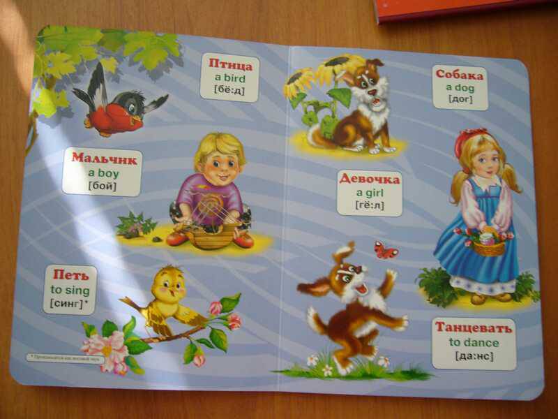 Иллюстрация 11 из 12 для Английский язык в картинках для малышей | Лабиринт - книги. Источник: NATALEX