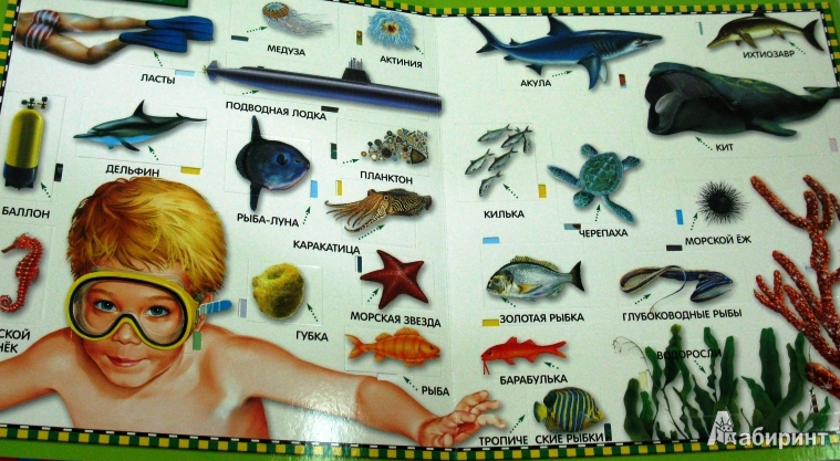 Иллюстрация 5 из 11 для Море. 100 окошек - Анна Казалис | Лабиринт - книги. Источник: ОксанаШ