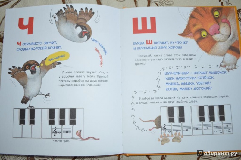 Иллюстрация 8 из 9 для Учим и поём буквы - Екатерина Голубева | Лабиринт - книги. Источник: Петрова  Катерина