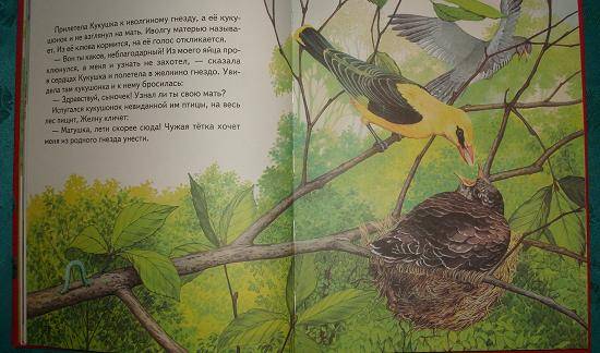 Иллюстрация 6 из 22 для Русские сказки о природе: Чижик-Пыжик - Евгений Пермяк | Лабиринт - книги. Источник: Полинка