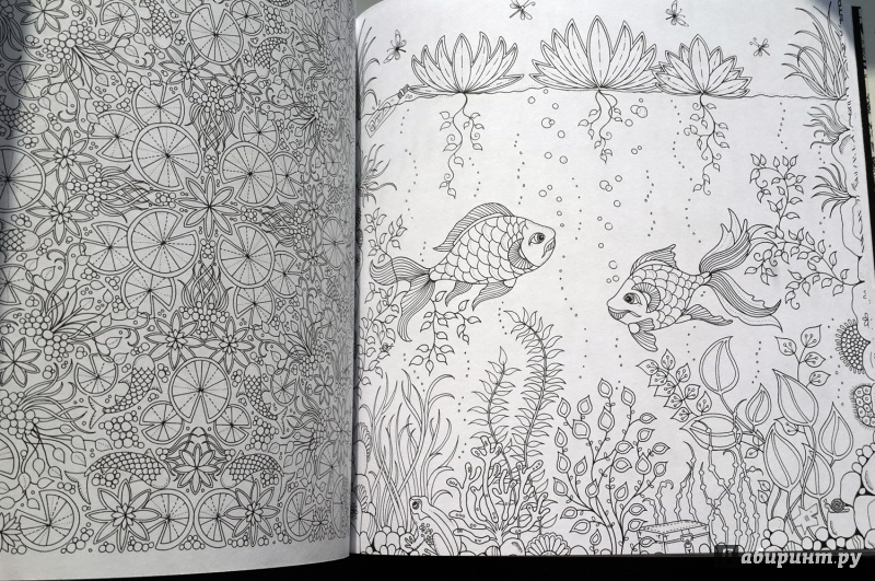 Иллюстрация 36 из 71 для Таинственный сад. Книга для творчества и вдохновения - Джоанна Бэсфорд | Лабиринт - книги. Источник: Линайна