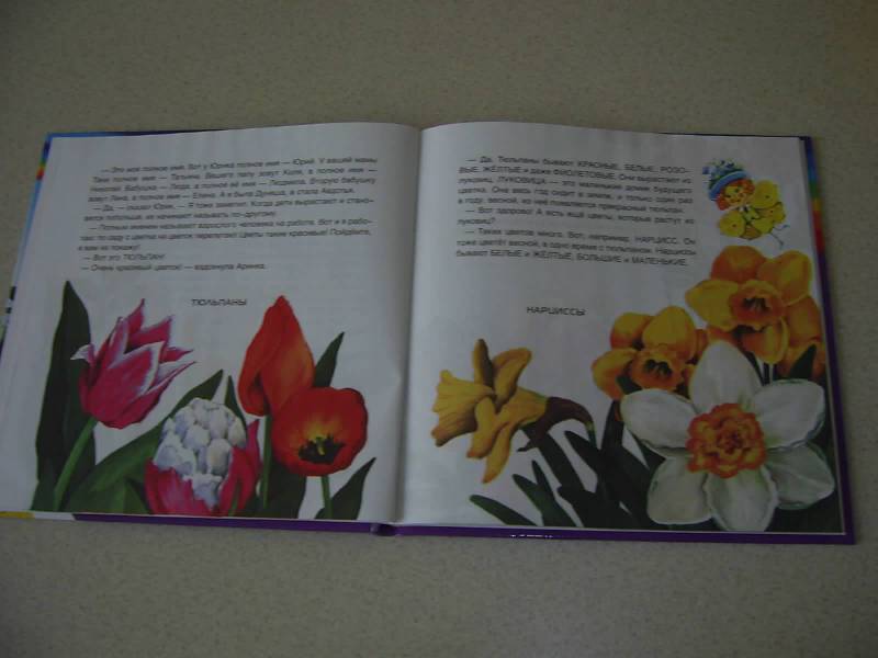 Иллюстрация 8 из 21 для Детская Вселенная. Цветы и бабочка Авдотья - Татьяна Рик | Лабиринт - книги. Источник: Лилианна