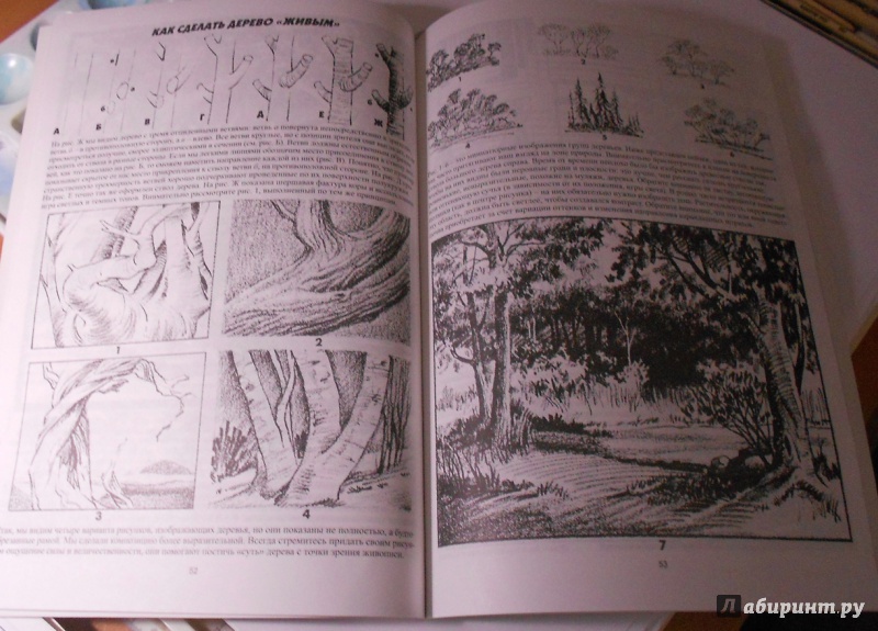 Иллюстрация 16 из 45 для Как рисовать пейзаж - Джек Хамм | Лабиринт - книги. Источник: Konstantin Davydov
