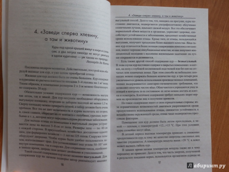 Иллюстрация 11 из 13 для Куры. Содержание, разведение, уход - Юрий Седов | Лабиринт - книги. Источник: товарищ маузер