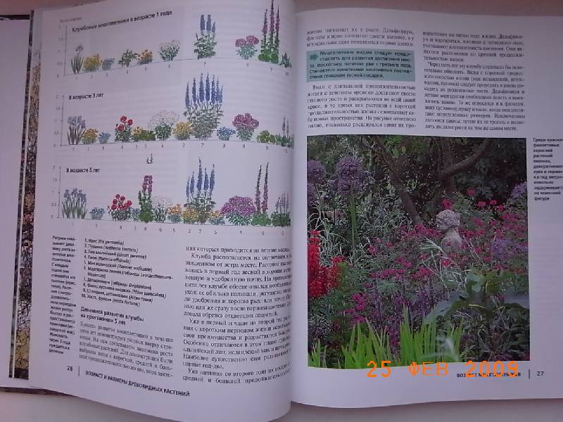 Иллюстрация 8 из 14 для Благоустройство сада - Ютта Корц | Лабиринт - книги. Источник: NataGold