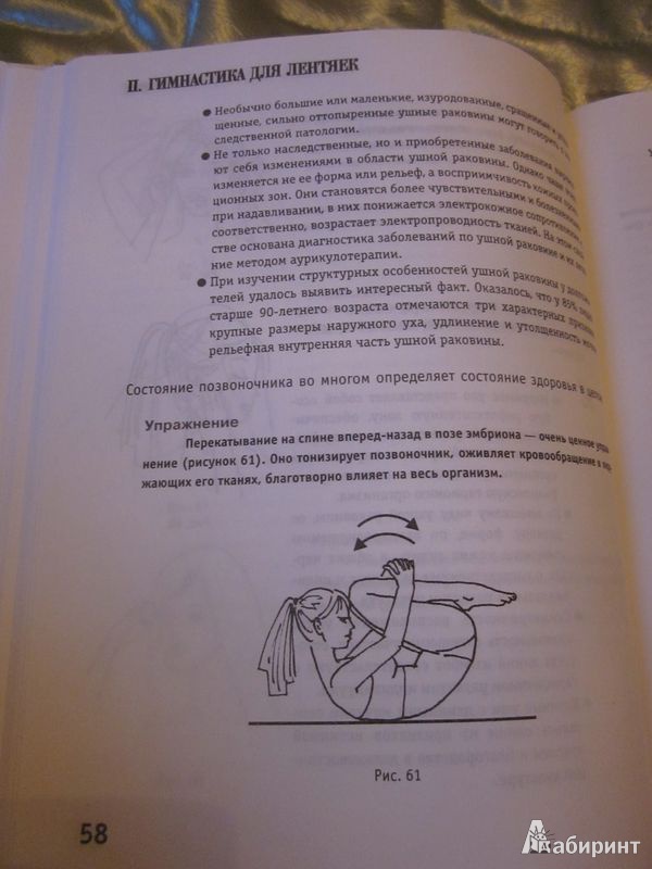 Иллюстрация 8 из 14 для Гимнастика для лентяек - Ирина Красикова | Лабиринт - книги. Источник: Мeдвeдицa