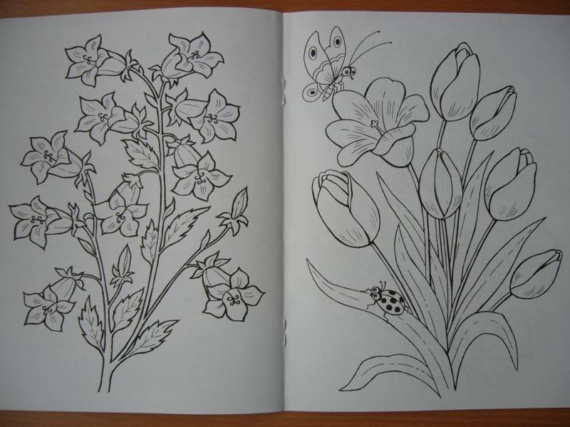 Иллюстрация 5 из 16 для Цветы и бабочки - Татьяна Коваль | Лабиринт - книги. Источник: Мама Саши