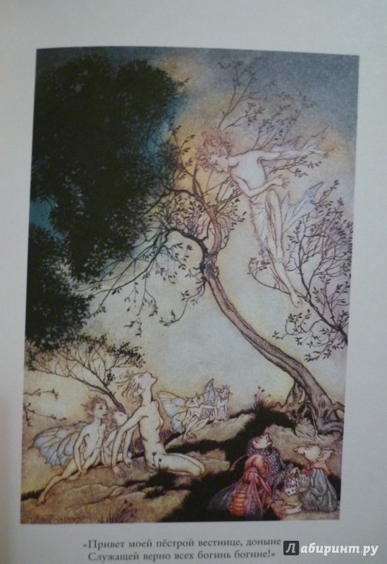 Иллюстрация 13 из 74 для Буря - Уильям Шекспир | Лабиринт - книги. Источник: Алексеенко  Надежда
