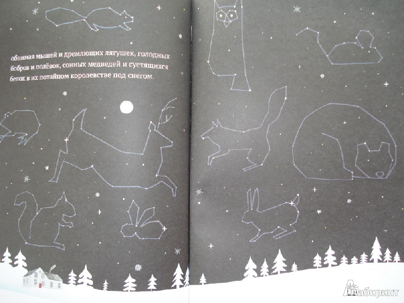 Иллюстрация 45 из 45 для На снегу и под снегом - Кейт Месснер | Лабиринт - книги. Источник: Алиса