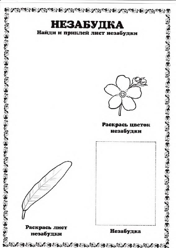 Иллюстрация 10 из 17 для Гербарий: Лесные цветы и травы | Лабиринт - игрушки. Источник: Кошки-мышки