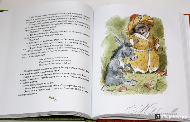 Иллюстрация 87 из 224 для Серёжик - Елена Ракитина | Лабиринт - книги. Источник: Букландия