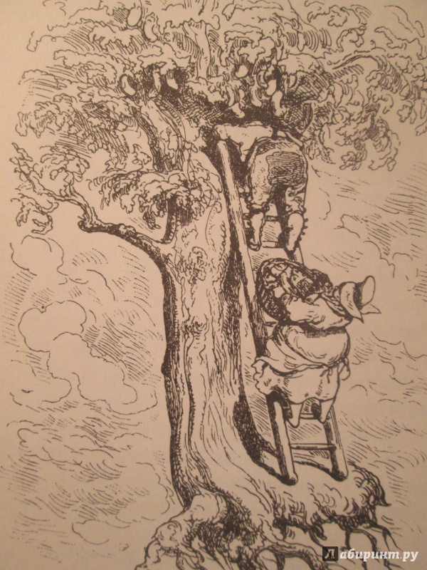 Иллюстрация 15 из 25 для Приключения барона Мюнхгаузена - Рудольф Распе | Лабиринт - книги. Источник: NiNon