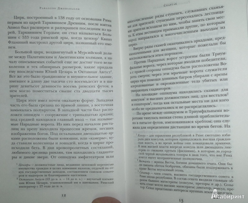 Иллюстрация 9 из 14 для Спартак - Рафаэлло Джованьоли | Лабиринт - книги. Источник: Леонид Сергеев