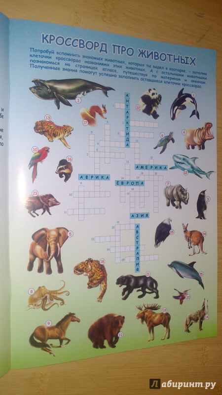 Иллюстрация 4 из 23 для Атлас мира с наклейками. Животные и растения | Лабиринт - книги. Источник: bamboo