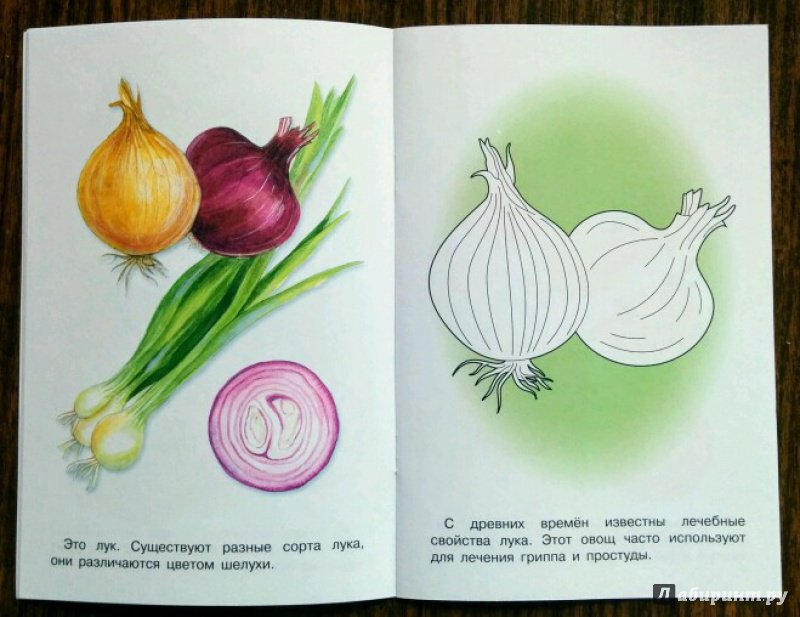 Иллюстрация 15 из 18 для Раскраска. Раскрашиваем и учимся. Овощи | Лабиринт - книги. Источник: Natalie Leigh
