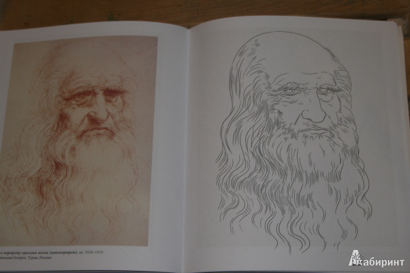 Иллюстрация 21 из 32 для Леонардо да Винчи | Лабиринт - книги. Источник: Кабанова  Ксения Викторовна