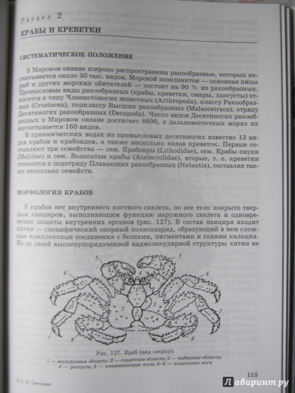 Иллюстрация 12 из 44 для Пресноводные и морские животные Камчатки. Рыбы, крабы, моллюски, иглокожие, морские млекопитающие - Анатолий Сметанин | Лабиринт - книги. Источник: Евгения39