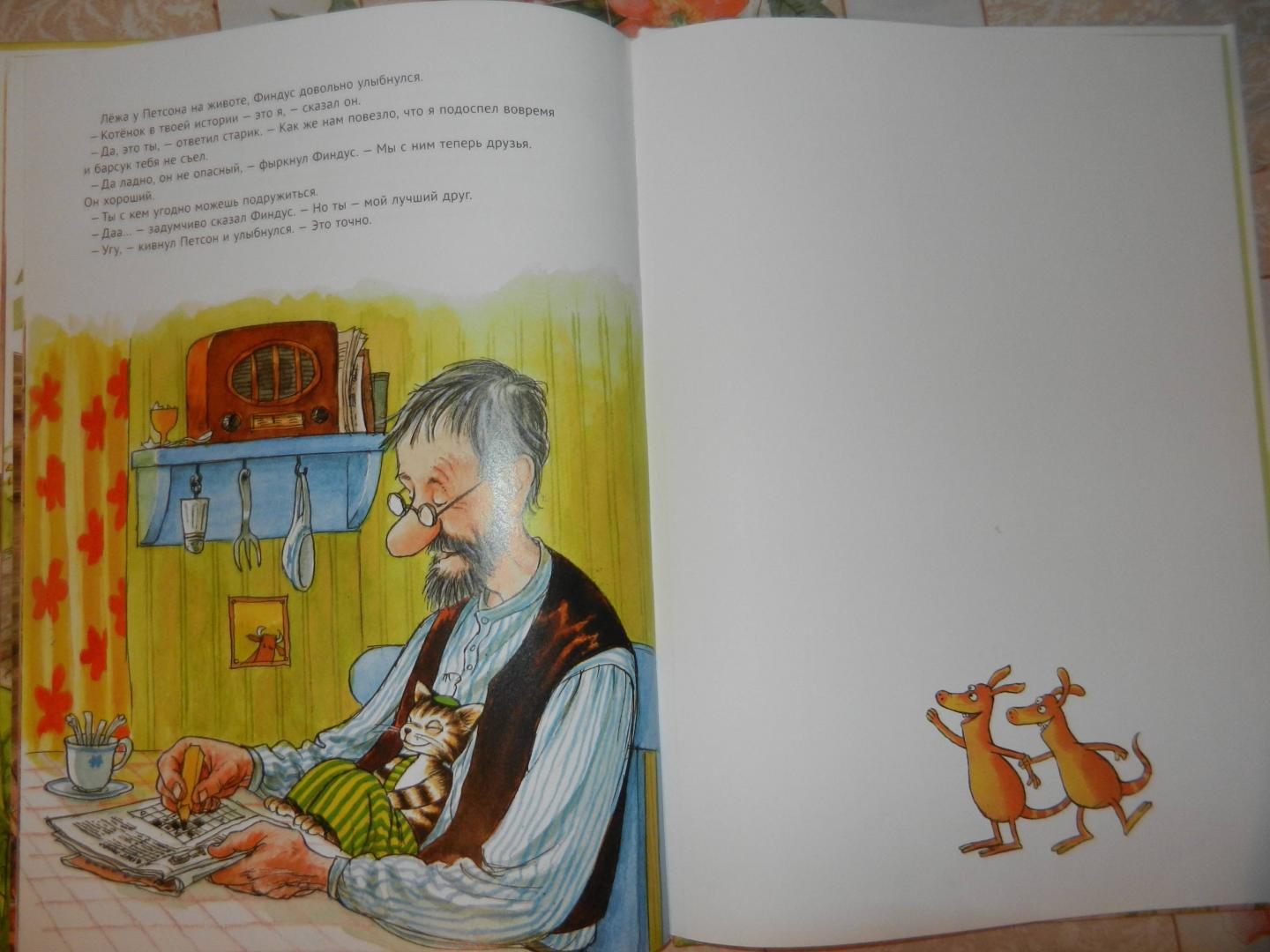 Иллюстрация 94 из 102 для История о том как Финдус потерялся, когда был маленьким - Свен Нурдквист | Лабиринт - книги. Источник: Сидоренко  Светлана Вячеславовна