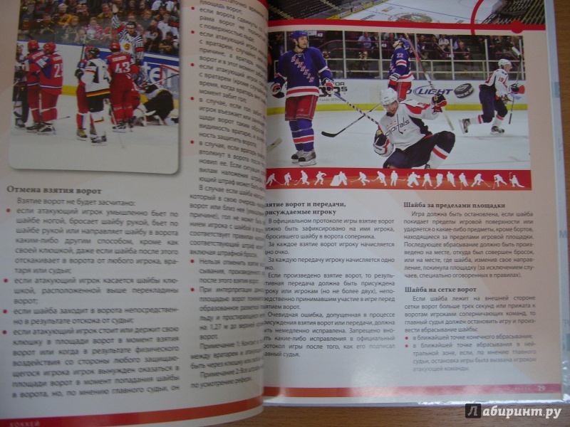Иллюстрация 15 из 18 для Хоккей | Лабиринт - книги. Источник: КошкаПолосатая