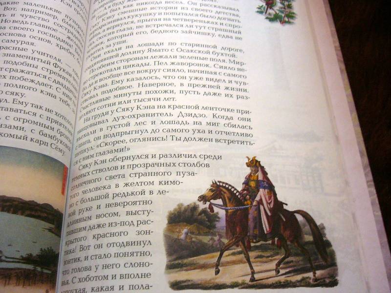 Иллюстрация 36 из 52 для Путь самурая - Александр Дорофеев | Лабиринт - книги. Источник: Nika