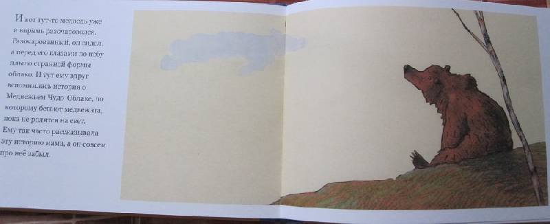 Иллюстрация 18 из 38 для Медвежье чудо - Вольф Эрльбрух | Лабиринт - книги. Источник: Leba