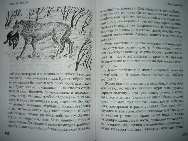 Иллюстрация 9 из 34 для Каштанка - Антон Чехов | Лабиринт - книги. Источник: Ромашка:-)